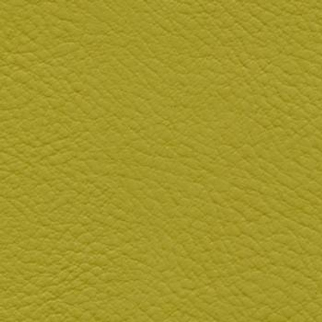 Verve Guacamole EVE-015 by Burch Designer Fabric our website for purchase 100% Polyurethane USA or Asia Water-based cleaning agents and foam may be used for cleaning. This fabric may also be cleaned with mild, water-free solvents. Cleaning by a professional cleaning service is recommended. Horizontal: - and Vertical: - 54" - Swanky Fabrics -