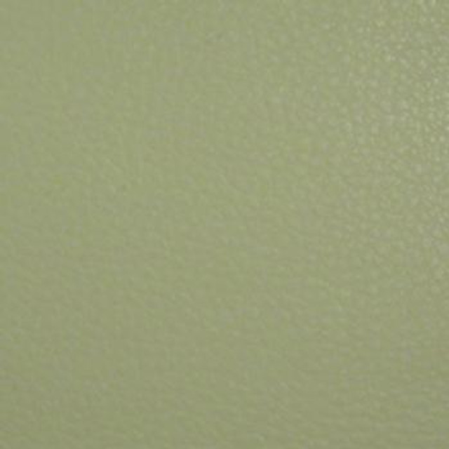 Aura Fennel EAU-015 by Nassimi Designer Fabric our website for purchase 100% Polyurethane USA or Asia Water-based cleaning agents and foam may be used for cleaning. This fabric may also be cleaned with mild, water-free solvents. Cleaning by a professional cleaning service is recommended. Horizontal: - and Vertical: - 54" - Swanky Fabrics -