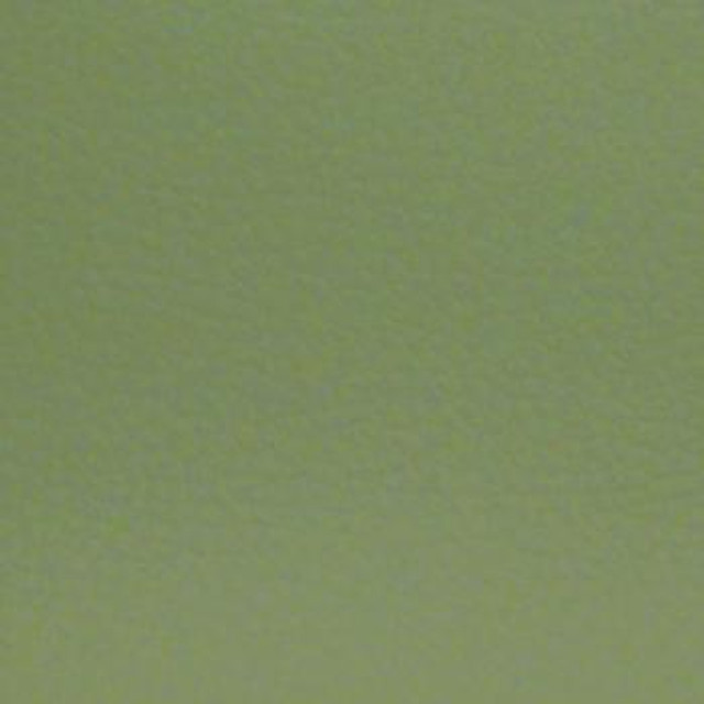 Aura Grass EAU-017 by Nassimi Designer Fabric our website for purchase 100% Polyurethane USA or Asia Water-based cleaning agents and foam may be used for cleaning. This fabric may also be cleaned with mild, water-free solvents. Cleaning by a professional cleaning service is recommended. Horizontal: - and Vertical: - 54" - Swanky Fabrics -