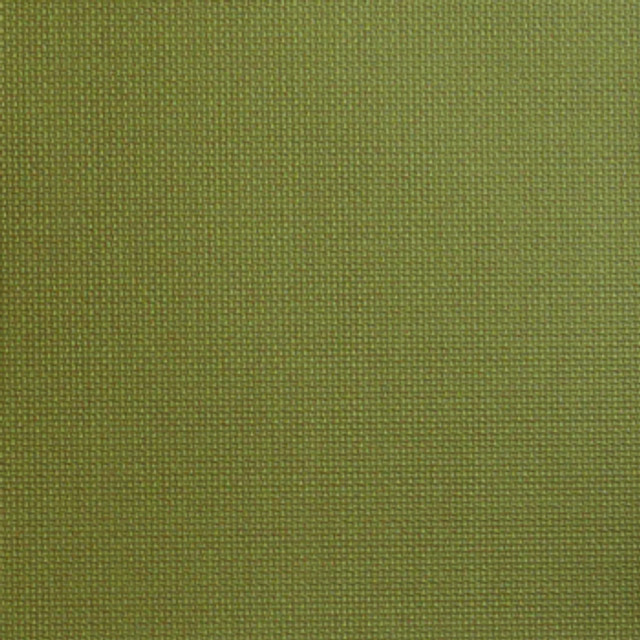 Huxley Green Tea WHX-013 by Nassimi Designer Fabric our website for purchase 100% Polyurethane USA or Asia Water-based cleaning agents and foam may be used for cleaning. This fabric may also be cleaned with mild, water-free solvents. Cleaning by a professional cleaning service is recommended. Horizontal: - and Vertical: - 54" - Swanky Fabrics -