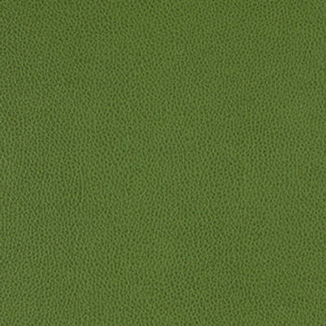 Tolstoy Celtic WTL-003 by Burch Designer Fabric our website for purchase 100% Polyurethane USA or Asia Water-based cleaning agents and foam may be used for cleaning. This fabric may also be cleaned with mild, water-free solvents. Cleaning by a professional cleaning service is recommended. Horizontal: - and Vertical: - 54" - Swanky Fabrics -
