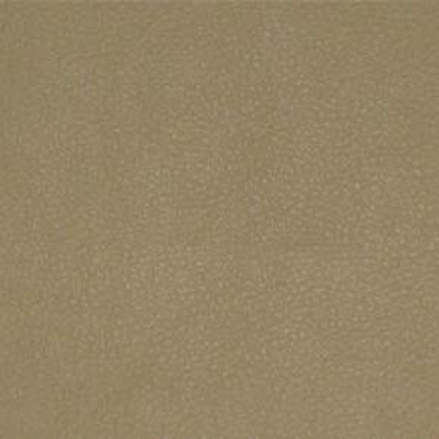 Persuasion Sand TPE-022 by Nassimi Designer Fabric our website for purchase 100% Vinyl USA or Asia Water-based cleaning agents and foam may be used for cleaning. This fabric may also be cleaned with mild, water-free solvents. Cleaning by a professional cleaning service is recommended. Horizontal: - and Vertical: - 54" - Swanky Fabrics -