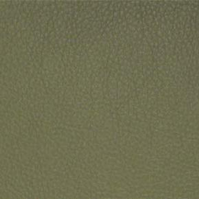 Classic Sage SCL-036 by Nassimi Designer Fabric our website for purchase 100% Vinyl USA or Asia Water-based cleaning agents and foam may be used for cleaning. This fabric may also be cleaned with mild, water-free solvents. Cleaning by a professional cleaning service is recommended. Horizontal: - and Vertical: - 54" - Swanky Fabrics -