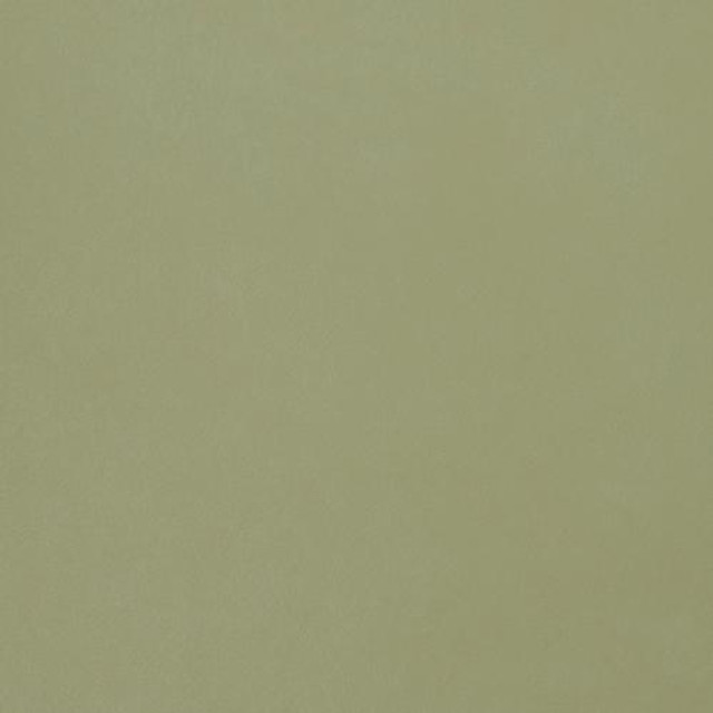 Seduction Pistachio SSE-018 by Nassimi Designer Fabric our website for purchase 100% Vinyl USA or Asia Water-based cleaning agents and foam may be used for cleaning. This fabric may also be cleaned with mild, water-free solvents. Cleaning by a professional cleaning service is recommended. Horizontal: - and Vertical: - 54" - Swanky Fabrics -
