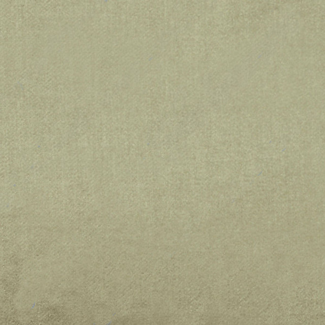 Academy/Bisque 36288-002 by Scalamandre Designer Fabric STOCKED AT 67% COTTON;33% SILK INDIA LIGHT DUTY Horizontal: and Vertical: 54" - Swanky Fabrics -