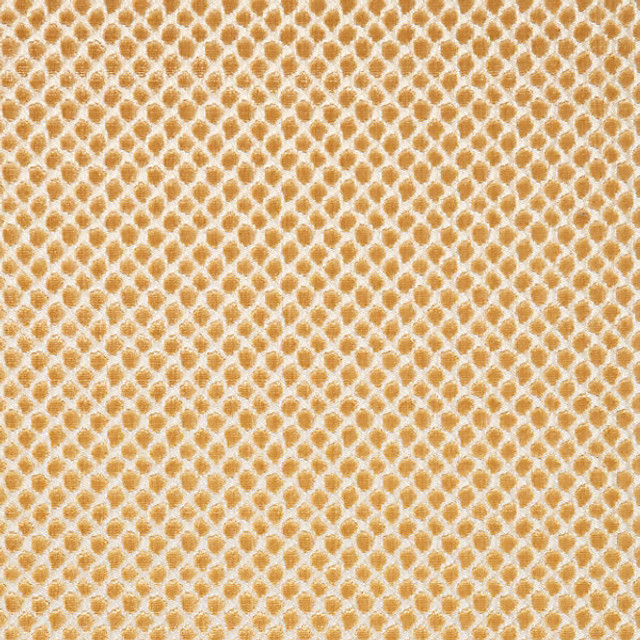 Etosha Velvet/Palomino 27022-003 by Scalamandre Designer Fabric MODERN NATURE STOCKED AT 45% RAYON;28% VISCOSE;27% COTTON INDIA HEAVY DUTY Horizontal: and Vertical: 55" - Swanky Fabrics -