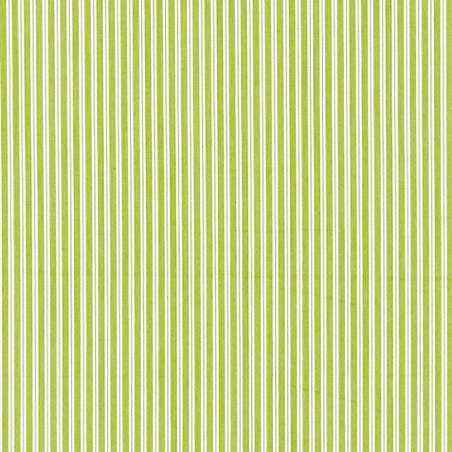 Kent Stripe/Pear 36395-012 by Scalamandre Designer Fabric CHATHAM STRIPES & PLAIDS STOCKED AT 100% COTTON INDIA LIGHT DUTY Horizontal: and Vertical: .25" 54" - Swanky Fabrics -