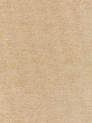 Luna Weave Champagne SC271470002 by Scalamandre Designer Fabric MODERN LUXURY 40% COTTON 36% VISCOSE 24% POLYESTER ITALY MEDIUM DUTY Horizontal: and Vertical: 55 - Swanky Fabrics -
