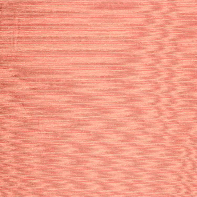 Tidal Pool Io Coral by RM CoCo Designer Fabric Cabana 72% Polypropelene, 28% Polyester - Dry clean only Horizontal: 6 and Vertical: 4 57 - Swanky Fabrics -