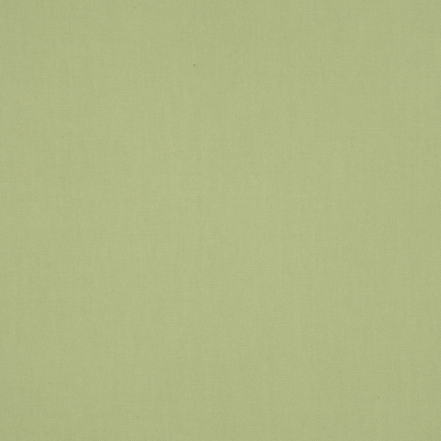Escapade Fern by RM CoCo Designer Fabric Escapade 100% COTTON - Dry clean only Horizontal: 0 and Vertical: 0 54 - Swanky Fabrics -