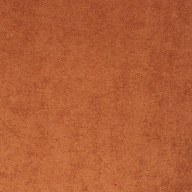 Ascot Brass by RM CoCo Designer Fabric Ascot 90% Polyester 10% Nylon - Cool wash w/ care, no bleach Horizontal: 0 and Vertical: 0 55 - Swanky Fabrics -