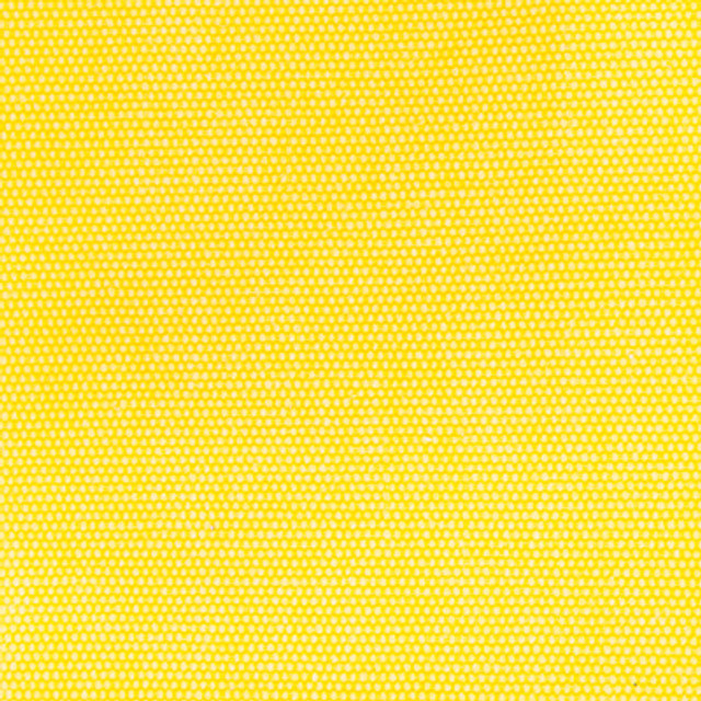 Panama Amarillo by Gaston Y Daniela Designer Fabric