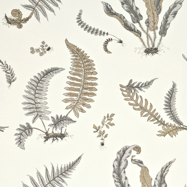 Ferns Dove Grey/Silver by G P & J Baker Designer Wallcovering