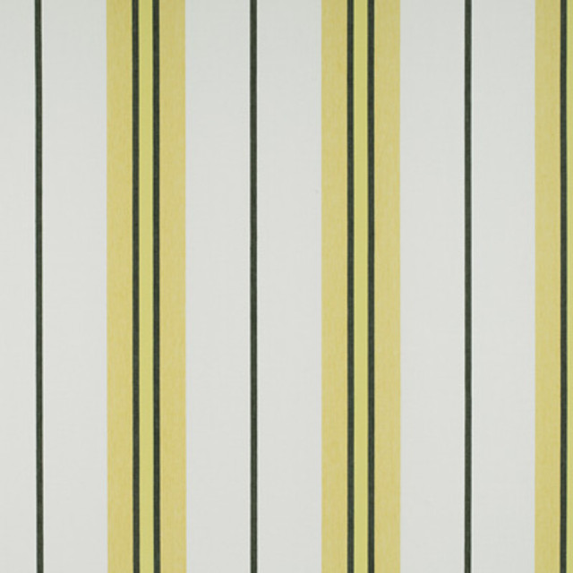 Burano Onyx/Amarillo by Gaston Y Daniela Designer Fabric