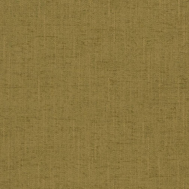 1321 Fern by Charlotte Designer Fabric Ring Book Page #32A 100% Woven Polyester Asia Exceeds 100,000 Wyzenbeek Rubs (Heavy Duty) No Repeat 54 Inches - Swanky Fabrics - 1321 Fern by Charlotte Designer Fabric Ring Book Page #32A 100% Woven Polyester Asia Exceeds 100,000 Wyzenbeek Rubs (Heavy Duty) No Repeat 54 Inches - Swanky Fabrics -