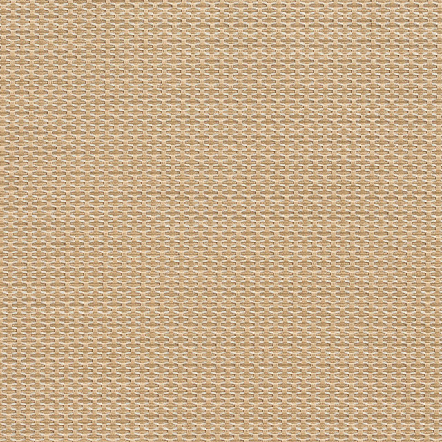 1713 Birch by Charlotte Designer Fabric Durables 100% Recycled Polyester Made In USA Exceeds 100,000 Wyzenbeek Rubs (Heavy Duty) No Repeat 54 Inches - Swanky Fabrics -