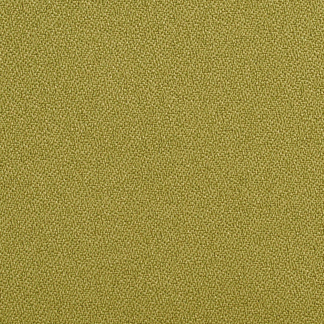 1763 Aloe by Charlotte Designer Fabric Durables 100% Recycled Polyester Made In USA Exceeds 100,000 Wyzenbeek Rubs (Heavy Duty) No Repeat 54 Inches - Swanky Fabrics -