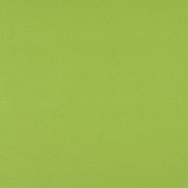 2469 Lime by Charlotte Designer Fabric All Seasons & Outdoor/Indoor Oasis II 100% Solution Dyed Woven Acrylic Italy Exceeds 140,000 Wyzenbeek Rubs (Heavy Duty) No Repeat 54 Inches - Swanky Fabrics -