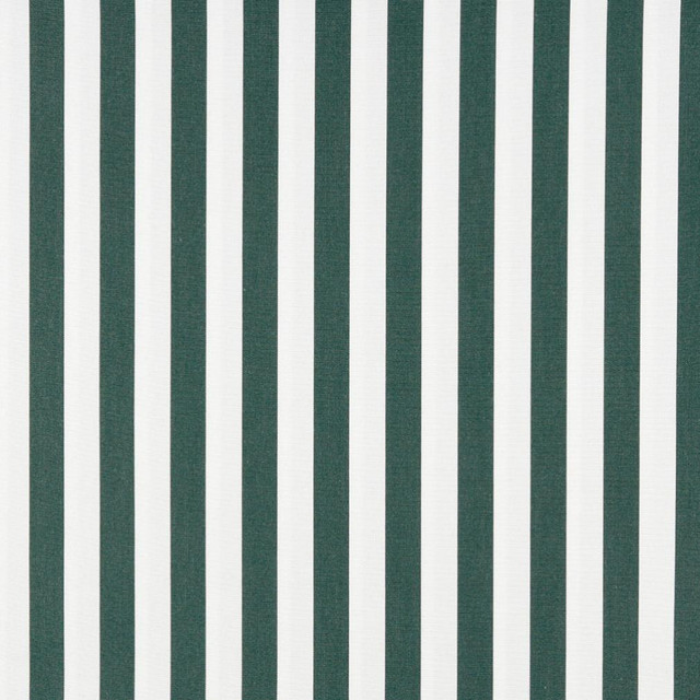 2488 Forest Canopy by Charlotte Designer Fabric All Seasons & Outdoor/Indoor Oasis II 100% Solution Dyed Woven Acrylic Italy Exceeds 140,000 Wyzenbeek Rubs (Heavy Duty) Horizontal: 2" 54 Inches - Swanky Fabrics -