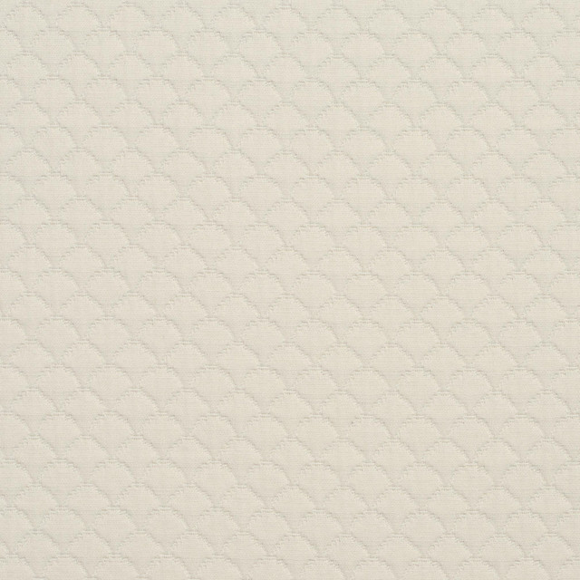3464 Shell by Charlotte Designer Fabric Naturally Naturals III 69% Cotton, 31% Polyester Asia Exceeds 60,000 Wyzenbeek Rubs (Heavy Duty) Horizontal: 3.25" x Vertical: 3.25" 54 Inches - Swanky Fabrics -