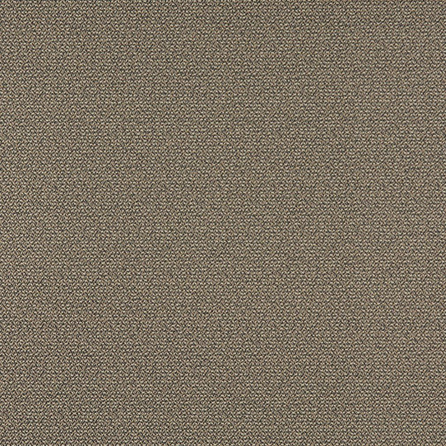 3820 Pebble by Charlotte Designer Fabric Decorative Durables XI 69% Olefin, 31% Polyester Made In USA Exceeds 150,000 Wyzenbeek Rubs (Heavy Duty) No Repeat 54 Inches - Swanky Fabrics -