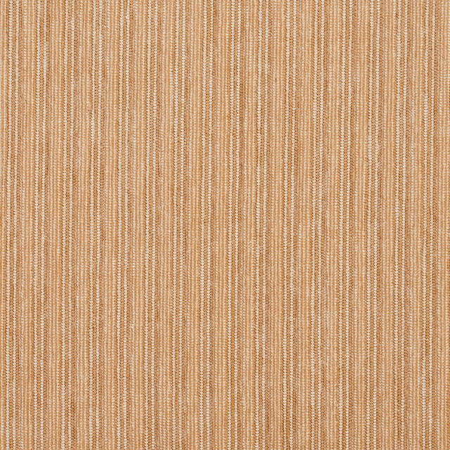 4047 Beach by Charlotte Designer Fabric Ring Book Page #23 100% Woven Polyester Asia Exceeds 150,000 Wyzenbeek Rubs (Heavy Duty) No Repeat 54 Inches - Swanky Fabrics -