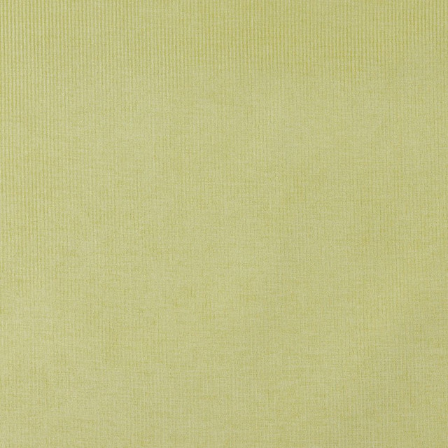 4207 Spring Stripe by Charlotte Designer Fabric Elegance of Woven Velvet III 100% Woven Polyester Asia Exceeds 200,000 Wyzenbeek Rubs (Heavy Duty) No Repeat 54 Inches - Swanky Fabrics -