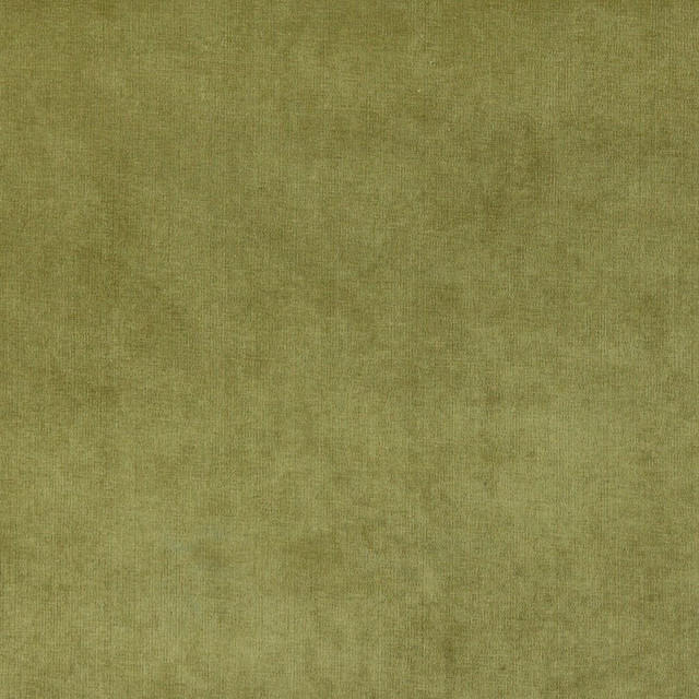 4234 Fern by Charlotte Designer Fabric Elegance of Woven Velvet III 100% Woven Polyester Asia Exceeds 200,000 Wyzenbeek Rubs (Heavy Duty) No Repeat 54 Inches - Swanky Fabrics -