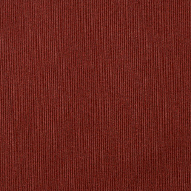 4253 Paprika by Charlotte Designer Fabric Ring Book Page #15 76% Olefin, 24% Polyester Made In USA Exceeds 80,000 Wyzenbeek Rubs (Heavy Duty) Horizontal: 2.0" 54 Inches - Swanky Fabrics -