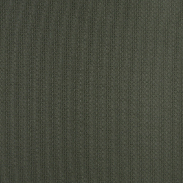 4340 Alpine by Charlotte Designer Fabric Uptown Jacquards V 55% Cotton, 45% Polyester Asia Exceeds 70,000 Wyzenbeek Rubs (Heavy Duty) Horizontal: .5" x Vertical: .5" 54 Inches - Swanky Fabrics -