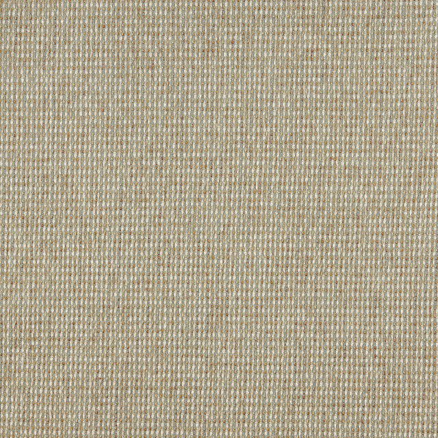 5174 Celadon by Charlotte Designer Fabric Ring Book Page #38 100% Woven Polyester Asia Exceeds 110,000 Wyzenbeek Rubs (Heavy Duty) No Repeat 54 Inches - Swanky Fabrics -