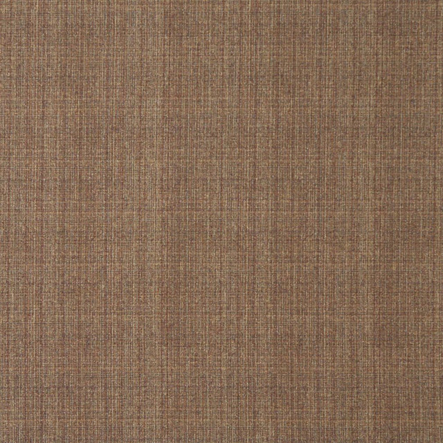 5373 Sable by Charlotte Designer Fabric Ring Book Page #32 55% Polyester; 45% Cotton Asia Exceeds 90,000 Wyzenbeek Rubs (Heavy Duty) No Repeat 54 Inches - Swanky Fabrics -