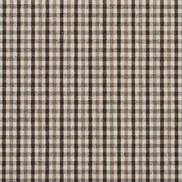 5812 Desert Check by Charlotte Designer Fabric Classic Patterns 52% Polyester, 48% Cotton Made In USA Exceeds 200,000 Wyzenbeek Rubs (Heavy Duty) Horizontal: .5" X Vertical: .25" 54 Inches - Swanky Fabrics -