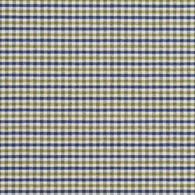5813 Laguna Check by Charlotte Designer Fabric Classic Patterns 52% Polyester, 48% Cotton Made In USA Exceeds 200,000 Wyzenbeek Rubs (Heavy Duty) Horizontal: .5" X Vertical: .25" 54 Inches - Swanky Fabrics -