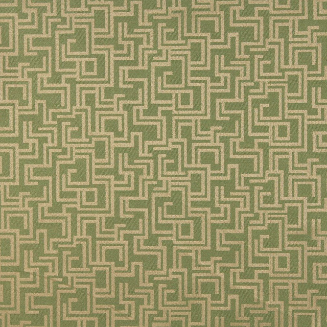 6634 Fern/Geometric by Charlotte Designer Fabric Outdoor/Indoor Oasis III 100% Woven Polyester Made In USA Exceeds 48,000 Wyzenbeek Rubs (Heavy Duty) Horizontal: 29.0" x Vertical: 10.0" 54 Inches - Swanky Fabrics -