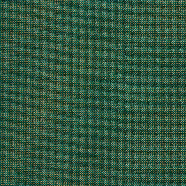 6739 Spruce/Dot by Charlotte Designer Fabric Woven Crypton II 59% Polyester, 41% Olefin Made In USA Exceeds 200,000 Wyzenbeek Rubs (Heavy Duty) No Repeat 54 Inches - Swanky Fabrics -