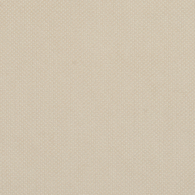 6977 Ivory by Charlotte Designer Fabric Ring Book Page #25A 100% Woven Polyester Asia Exceeds 140,000 Wyzenbeek Rubs (Heavy Duty) No Repeat 54 Inches - Swanky Fabrics -