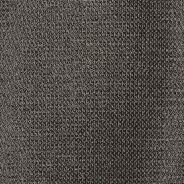 6979 Slate by Charlotte Designer Fabric Ring Book Page #25A 100% Woven Polyester Asia Exceeds 140,000 Wyzenbeek Rubs (Heavy Duty) No Repeat 54 Inches - Swanky Fabrics -