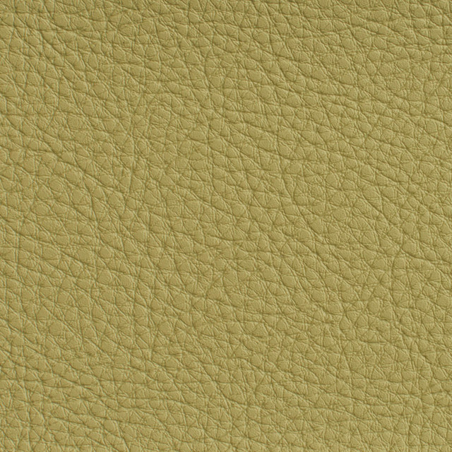 7181 Pesto by Charlotte Designer Fabric Heavy Duty Soft Touch Vinyl II 100% Virgin Vinyl, 30oz. Asia Exceeds 200,000 Wyzenbeek Rubs (Heavy Duty) No Repeat 54 Inches - Swanky Fabrics -