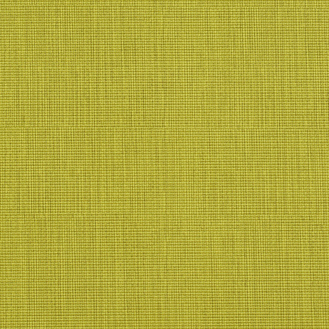 7603 Citrus by Charlotte Designer Fabric Heavy Duty Soft Touch Vinyl II 100% Virgin Vinyl, 30oz. Asia Exceeds 200,000 Wyzenbeek Rubs (Heavy Duty) No Repeat 54 Inches - Swanky Fabrics -