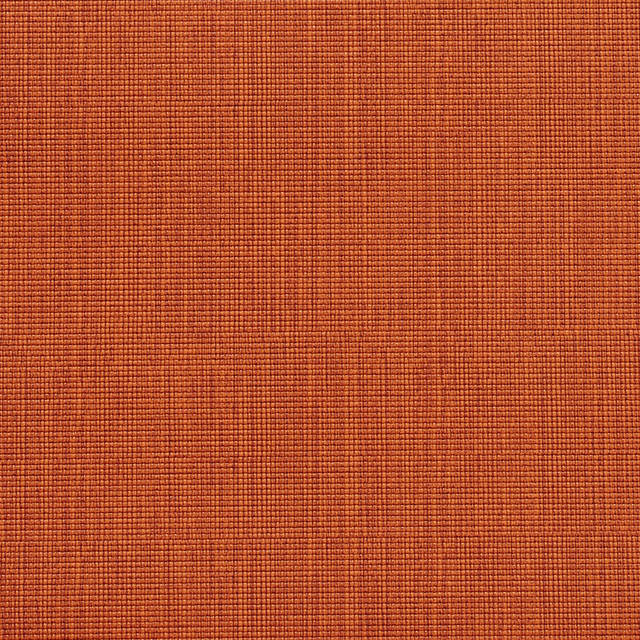 7611 Paprika by Charlotte Designer Fabric Heavy Duty Soft Touch Vinyl II 100% Virgin Vinyl, 30oz. Asia Exceeds 200,000 Wyzenbeek Rubs (Heavy Duty) No Repeat 54 Inches - Swanky Fabrics - 7611 Paprika by Charlotte Designer Fabric Heavy Duty Soft Touch Vinyl II 100% Virgin Vinyl, 30oz. Asia Exceeds 200,000 Wyzenbeek Rubs (Heavy Duty) No Repeat 54 Inches - Swanky Fabrics -