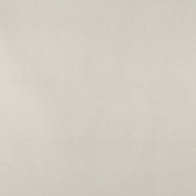 10000-01 by Charlotte Designer Fabric Cotton Velvet 100% Cotton, Velvet Made In USA Exceeds 100,000 Wyzenbeek Rubs (Heavy Duty) No Repeat 54 Inches - Swanky Fabrics -