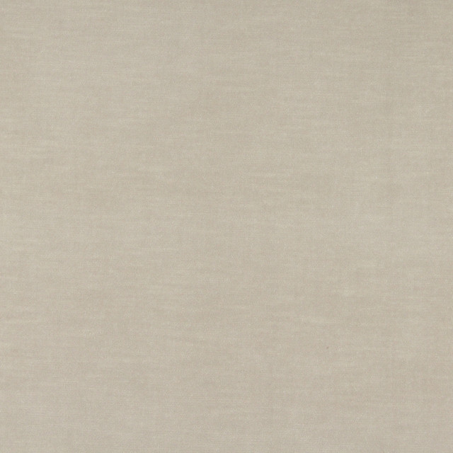 10001-04 by Charlotte Designer Fabric Cotton Velvet 100% Cotton, Velvet Made In USA Exceeds 100,000 Wyzenbeek Rubs (Heavy Duty) No Repeat 54 Inches - Swanky Fabrics -