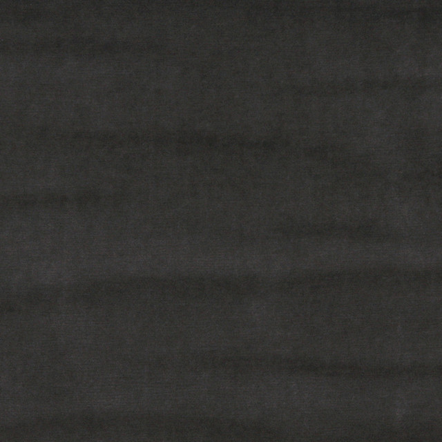 10001-06 by Charlotte Designer Fabric Cotton Velvet 100% Cotton, Velvet Made In USA Exceeds 100,000 Wyzenbeek Rubs (Heavy Duty) No Repeat 54 Inches - Swanky Fabrics -