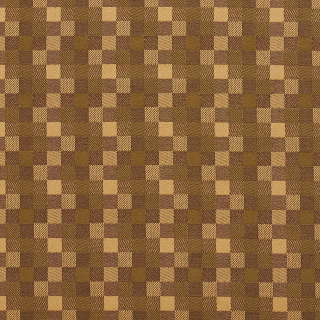 20240-01 by Charlotte Designer Fabric Galleria 57% Cotton, 43% Polyester Taiwan Exceeds 40,000 Wyzenbeek Rubs (Heavy Duty) Horizontal: 1.75" x Vertical: 1.75" 54 Inches - Swanky Fabrics -