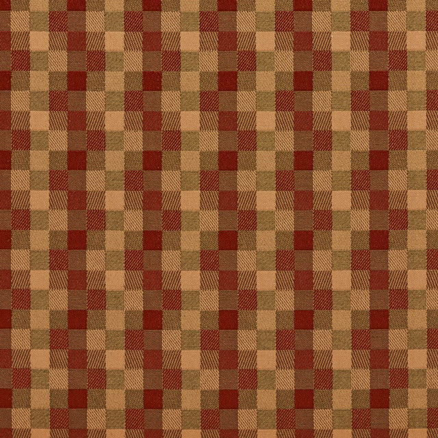 20240-03 by Charlotte Designer Fabric Galleria 57% Cotton, 43% Polyester Taiwan Exceeds 40,000 Wyzenbeek Rubs (Heavy Duty) Horizontal: 1.75" x Vertical: 1.75" 54 Inches - Swanky Fabrics -