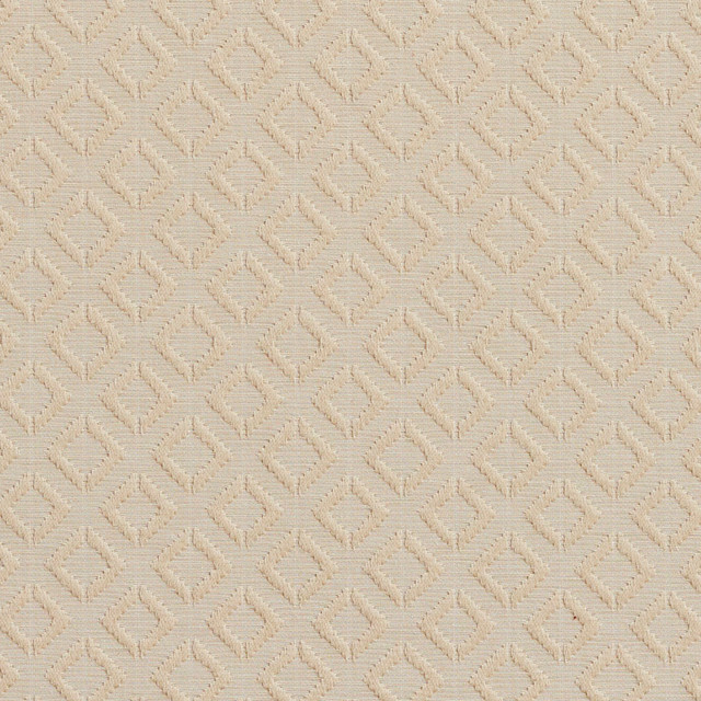 20640-05 by Charlotte Designer Fabric Millennium 65% Cotton, 35% Polyester Asia Exceeds 60,000 Wyzenbeek Rubs (Heavy Duty) Horizontal: 1.5" x Vertical: 1.5" 54 Inches - Swanky Fabrics -