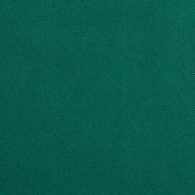 TC-Green Green by Charlotte Designer Fabric Top Choice 100% 7oz. Solution Dyed Polyester Europe Exceeds 130,000 Wyzenbeek Rubs (Heavy Duty) No Repeat 61 Inches - Swanky Fabrics -