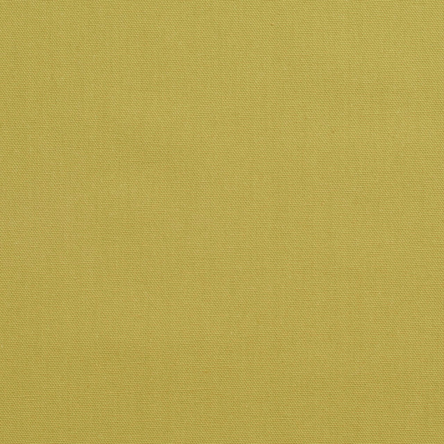 3890 Pear by Charlotte Designer Fabric Cotton Duck 100% Cotton 12 oz. Preshrunk Canvas Duck Made In USA Exceeds 60,000 Wyzenbeek Rubs (Heavy Duty) No Repeat 54 Inches - Swanky Fabrics -