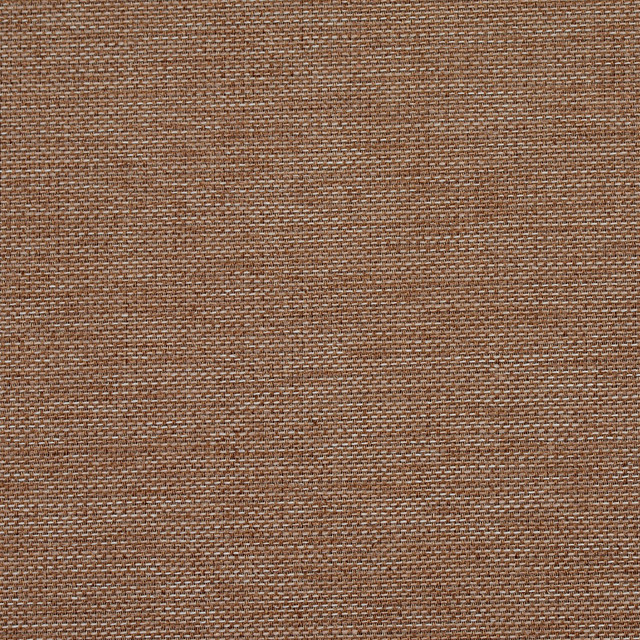 1661 Latte by Charlotte Designer Fabric Modern Tapestry 100% Woven Polyester Asia Exceeds 200,000 Wyzenbeek Rubs (Heavy Duty) No Repeat 54 Inches - Swanky Fabrics - 1661 Latte by Charlotte Designer Fabric Modern Tapestry 100% Woven Polyester Asia Exceeds 200,000 Wyzenbeek Rubs (Heavy Duty) No Repeat 54 Inches - Swanky Fabrics -